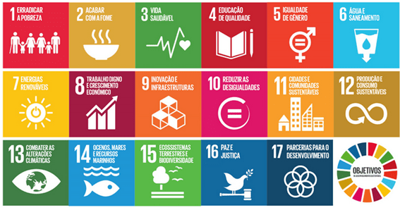 Quadro dos 17 Objetivos de Desenvolvimento Sustentável do Plano de Ação da ONU
